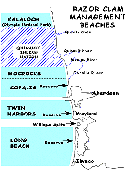 Tide Chart Long Beach Wa